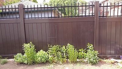Dark Brown Privacy fence with Black Alum