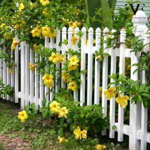 How to Choose the Perfect Fence for Your Backyard